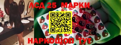 гашик Магадан