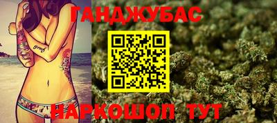 гашик Магадан